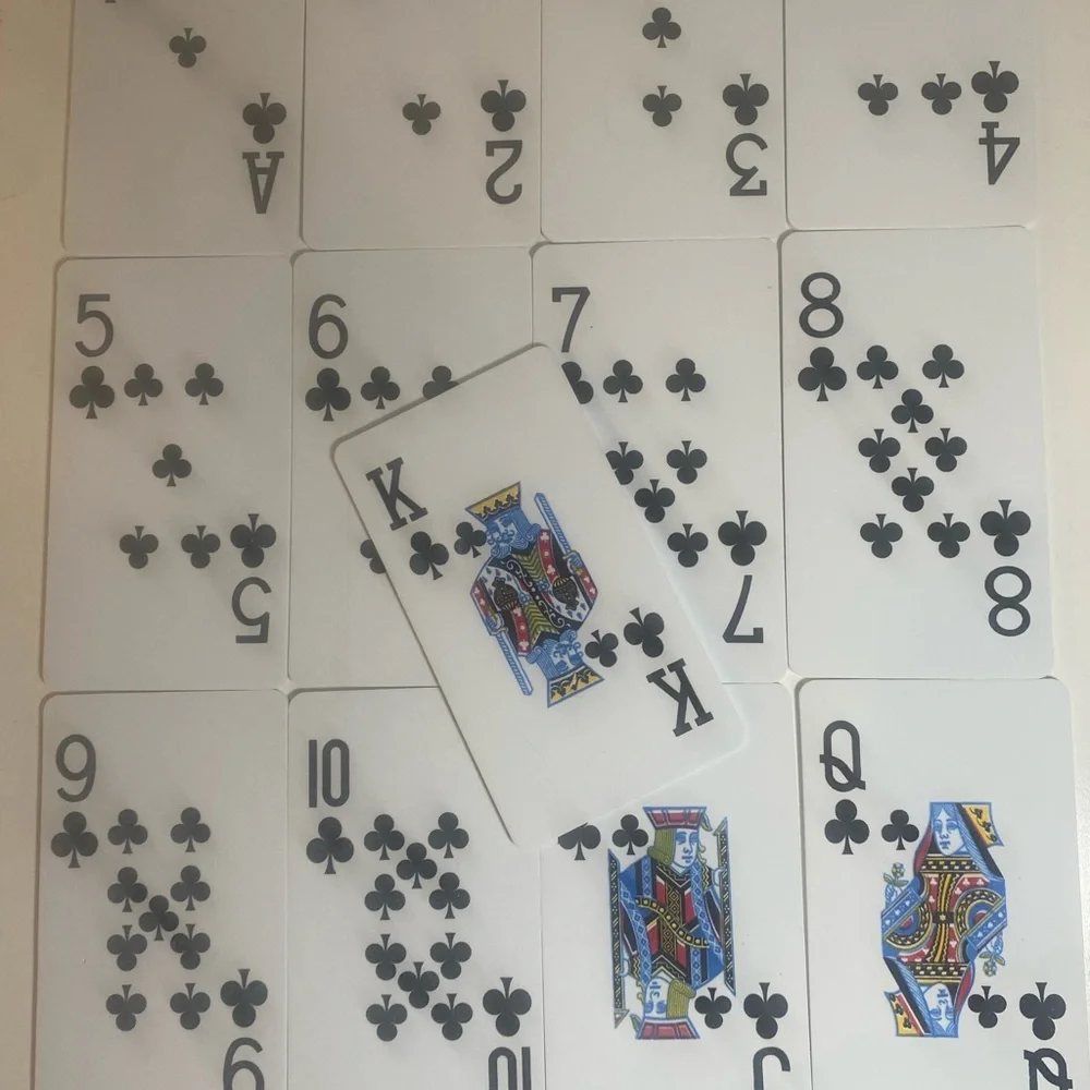 Pier 1 Imports 56 Giant EVA Foam Indoor/Outdoor Playing Cards